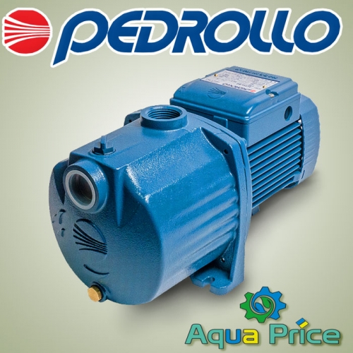 Насос Pedrollo 3CP 100