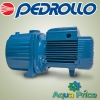 Насос Pedrollo 3CP 100