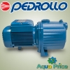 Насос Pedrollo 3CPm 100