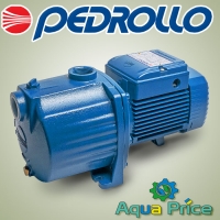 Насос Pedrollo 3CPm 100 (Италия)