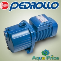 Насос Pedrollo 3CPm 80 (Италия)