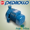 Насос Pedrollo CP 220A