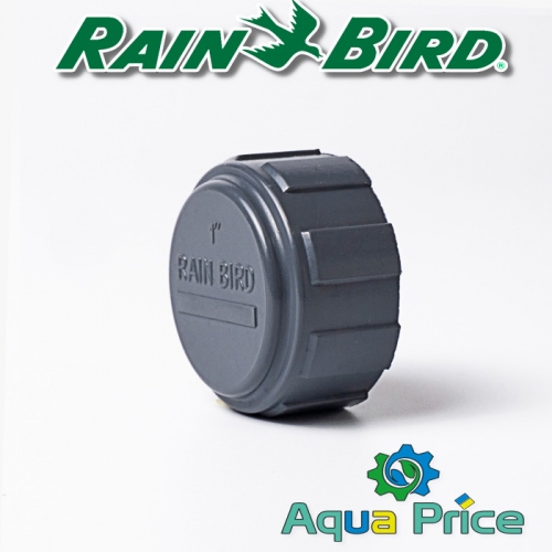 Заглушка 1" ВР Rain Bird RB1348-010 Заглушка 1" ВР Rain Bird RB1348-010