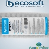 Картридж із спресованого активованого вугілля Ecosoft CTO10 4,5"х20" (CHVCB4520ECO)