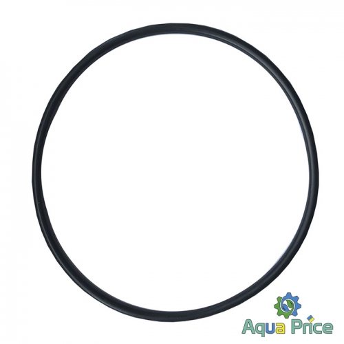 Уплотнительное кольцо на синюю колбу SL10/20-BB Big Blue 10/20"