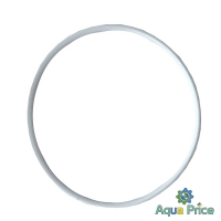 Уплотнительное кольцо на прозрачную колбу SL20TS-BB Big Blue 10/20" 12623 Bio+ Systems