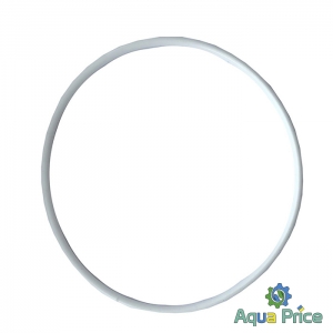 Кільце ущільнювача на прозору колбу SL20TS-BB Big Blue 10/20" 12623 Bio+ Systems
