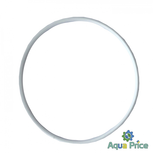 Уплотнительное кольцо на прозрачную колбу SL20 TS-BB Big Blue 10/20"