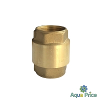 Клапан обратного хода Professional 1" QP100