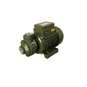 Насос вихревой KF-3 0.55 кВт SAER (3.0 м3/ч.62 м) однофазный Насос вихревой KF-3 0.55 кВт SAER (3.0 м3/ч.62 м) однофазный