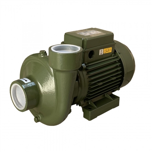 Насос відцентровий BP-3 0,75 кВт SAER (25,0 м3/год, 21.5 м) однофазний