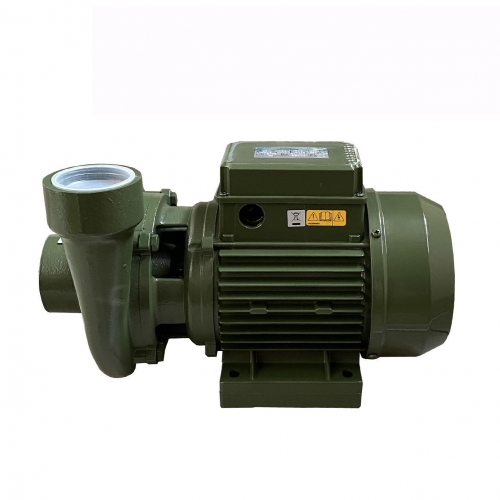 Насос відцентровий BP-4 1,1 кВт SAER (32,0 м3/год, 22 м) однофазний Насос відцентровий BP-4 1,1 кВт SAER (32,0 м3/год, 22 м) однофазний