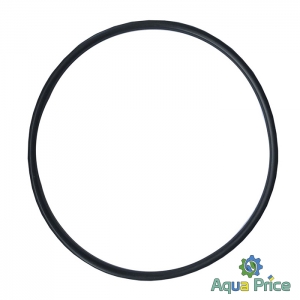 Кільце ущільнювача на колбу SL10-2K 5170 Bio+ Systems