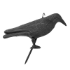 Отпугиватель птиц. Ворон. CTRL-BR101