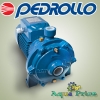 Насос Pedrollo 2CP 25/16A Насос Pedrollo 2CP 25/16A