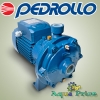 Насос Pedrollo 2CP 32/200B Насос Pedrollo 2CP 32/200B