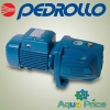 Насос Pedrollo JSWm 1AX Насос Pedrollo JSWm 1AX