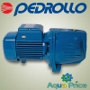 Насос Pedrollo JSWm 1B Насос Pedrollo JSWm 1B