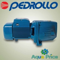 Насос Pedrollo JSWm 3BM (Италия)