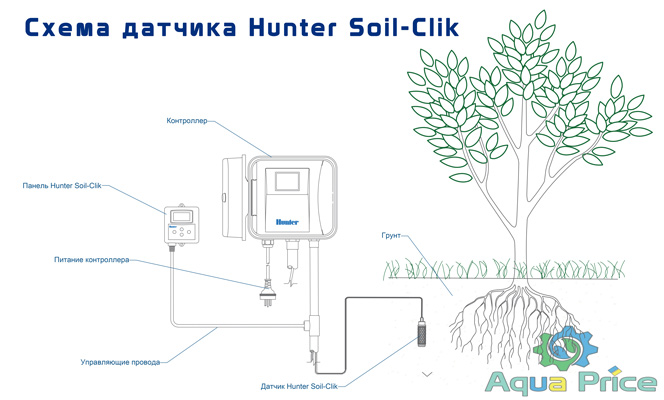 схема размещения Датчика влажности почвы Hunter Soil-Clik