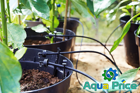 Капельный полив цветов