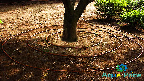 Правильный полив сада и деревьев