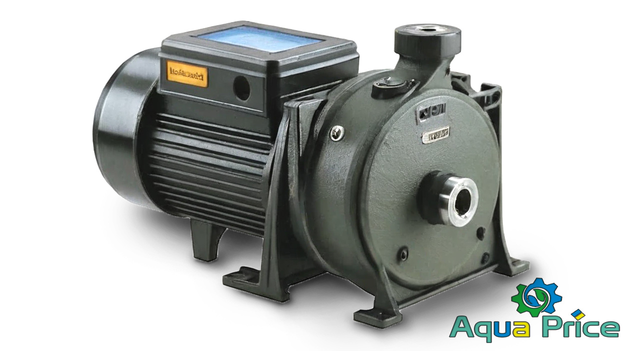 Центробежный насос SAER для перекачки воды