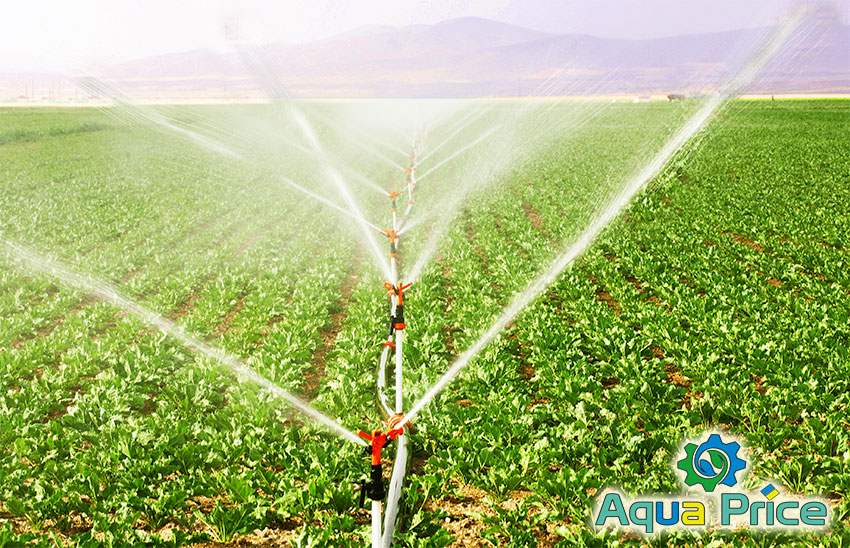 Дождеватели и оросители поливают поле