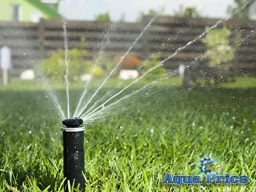 Автоматический полив в Святопетровском