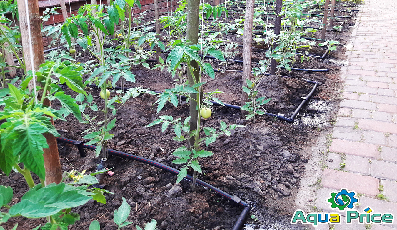 эксплуатация и осмотр системы капельного полива