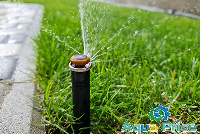 Фото участка клиента в Осещине