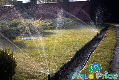 Фото участка клиента на Осокорках