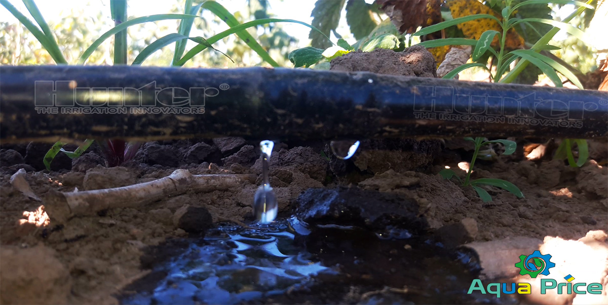 Капельный полив Hunter на поле