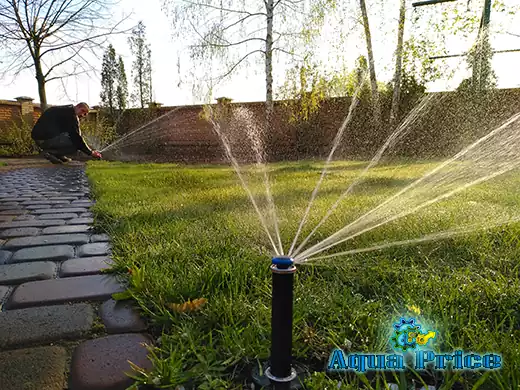 Полив газона автоматически в Золоче